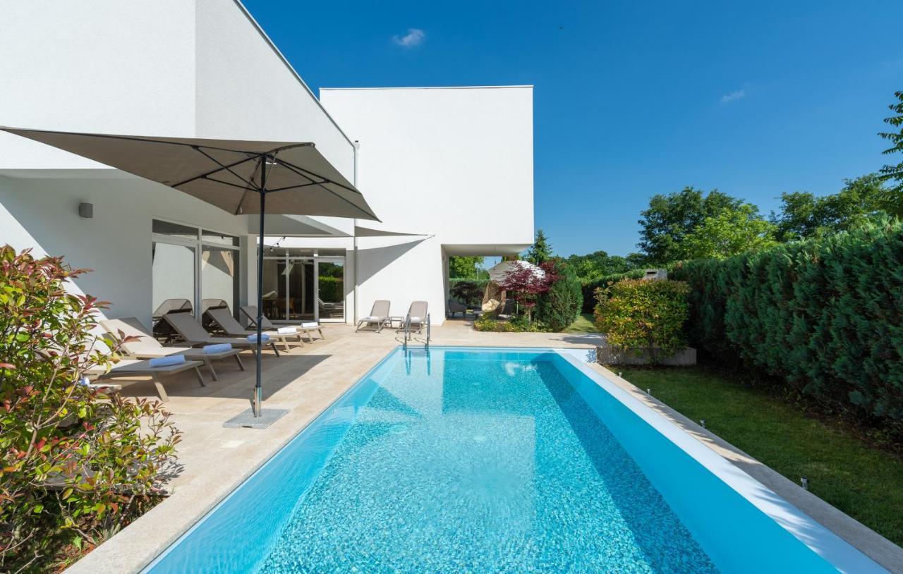 Villa Kate Istria Žminj エクステリア 写真