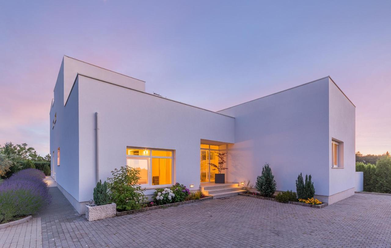 Villa Kate Istria Žminj エクステリア 写真