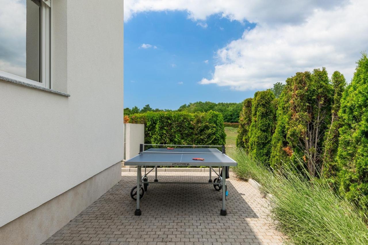 Villa Kate Istria Žminj エクステリア 写真