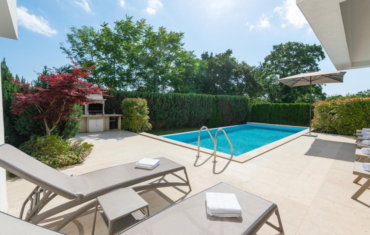 Villa Kate Istria Žminj エクステリア 写真