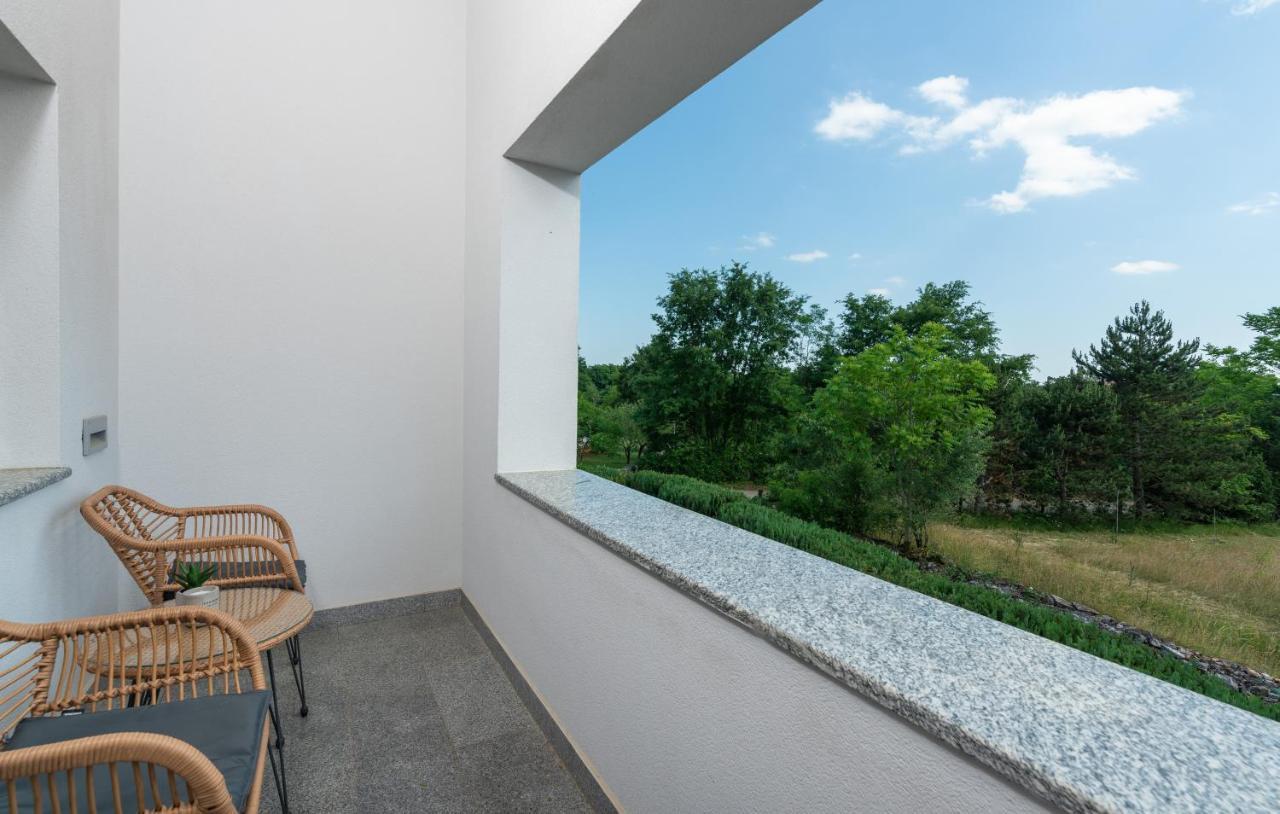 Villa Kate Istria Žminj エクステリア 写真