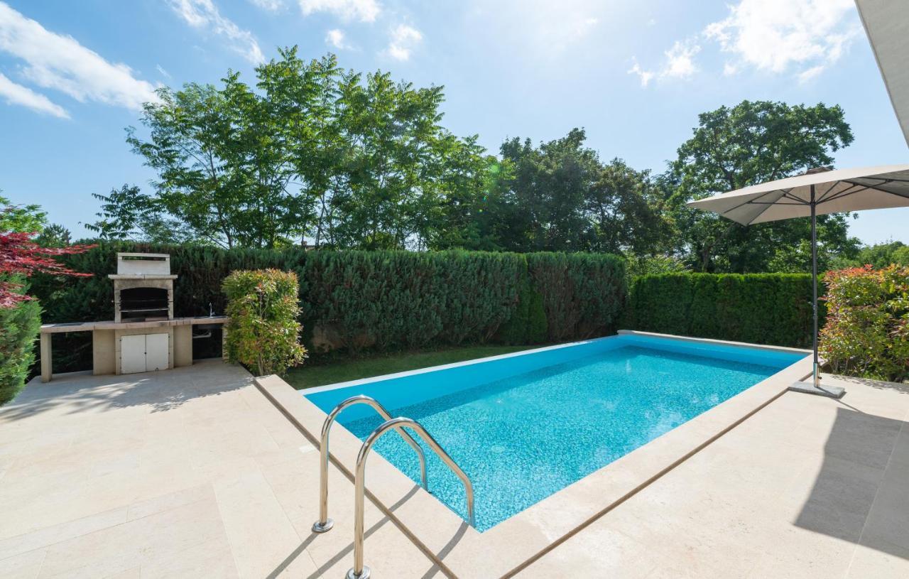 Villa Kate Istria Žminj エクステリア 写真