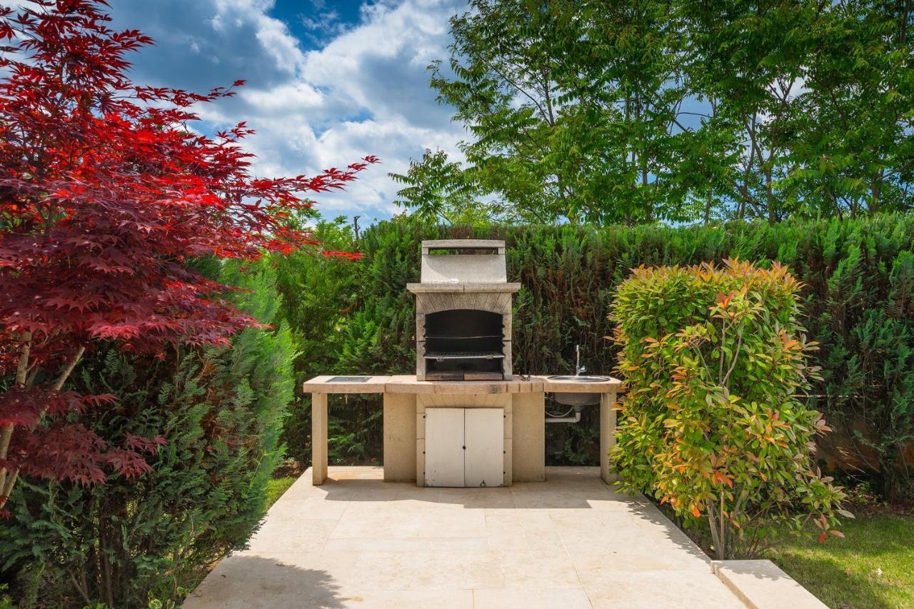 Villa Kate Istria Žminj エクステリア 写真