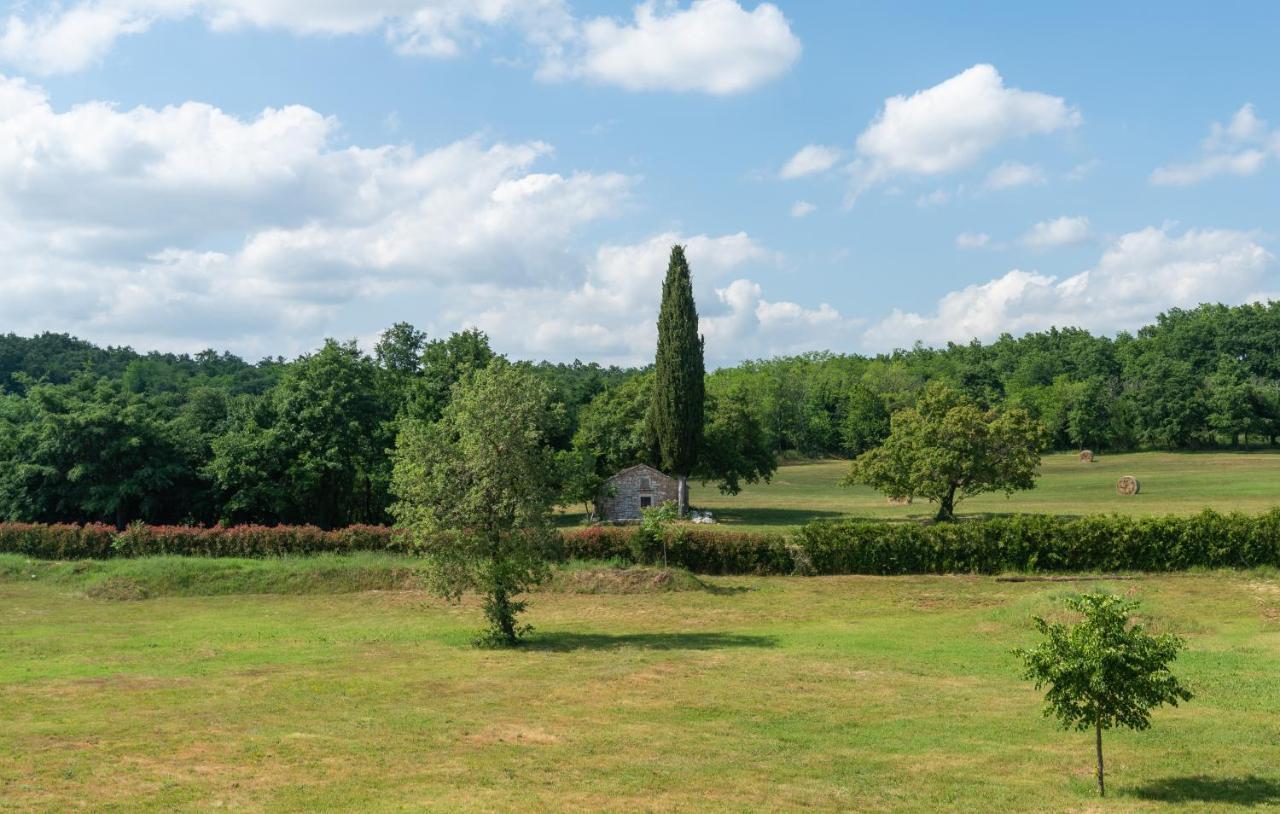 Villa Kate Istria Žminj エクステリア 写真