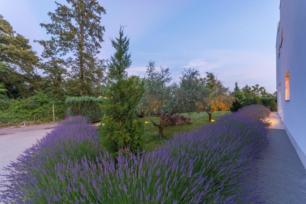 Villa Kate Istria Žminj エクステリア 写真
